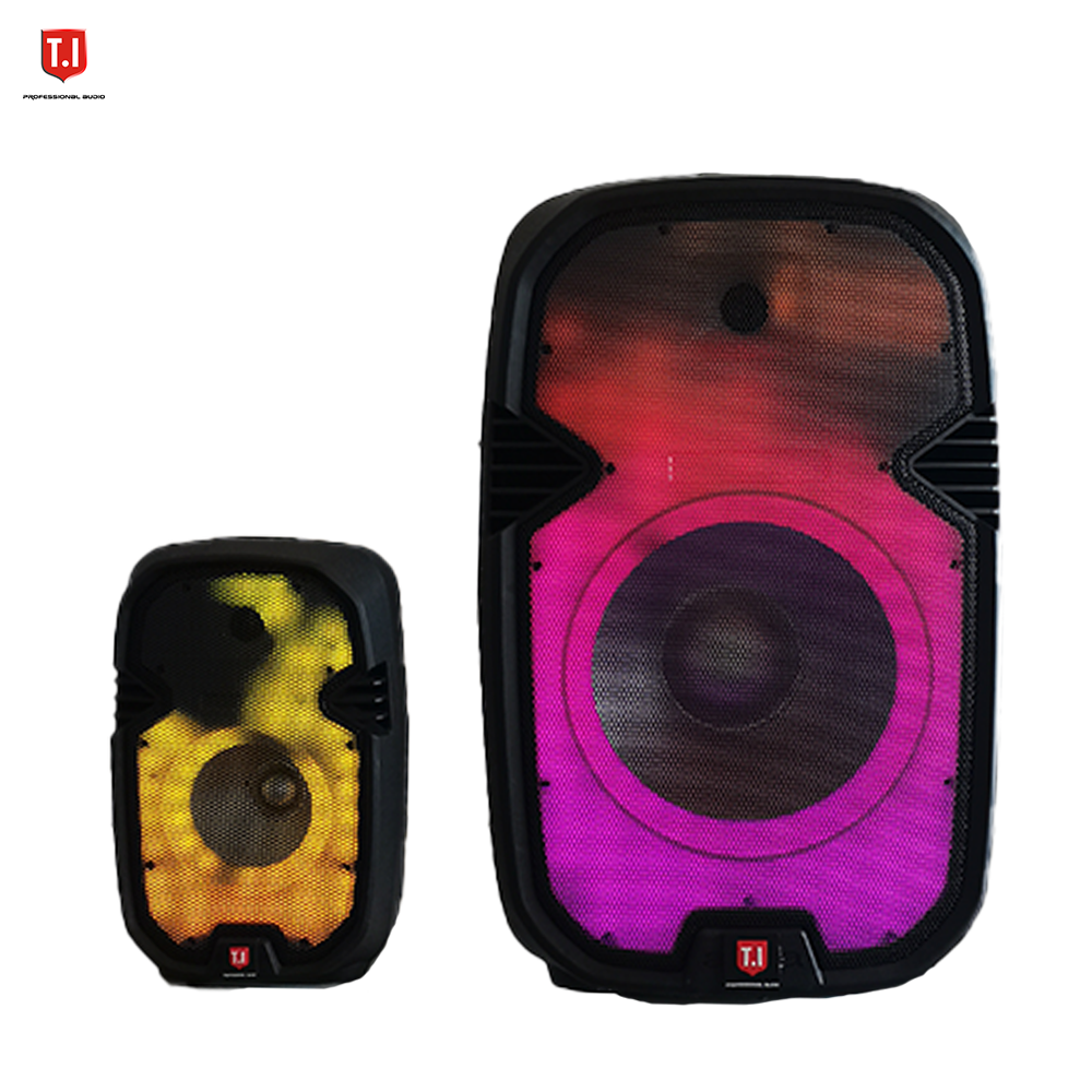 Bluetooth Battery Speaker CE15L 15” Portable party speaker with full LED light